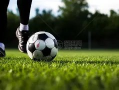 多纳鲁马荣,膺欧洲杯最,佳球员称号,香港赛马会,香港赛马,马会活动,马术赛事